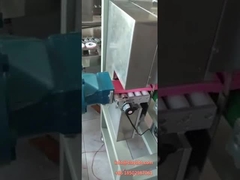 Kleine Vacuümextruder/de Vacuümextruder van Molenclay dough product /Laboratory