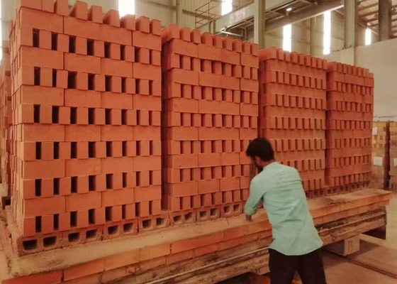 Van de de tunneloven van de kleibaksteen van de de brandklei het ontwerp van het de steenovenproject door BBT