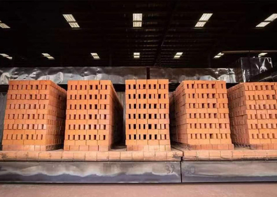 Van de de tunneloven van de kleibaksteen van de het projecttunnel de oven technische ontwerp en bouw