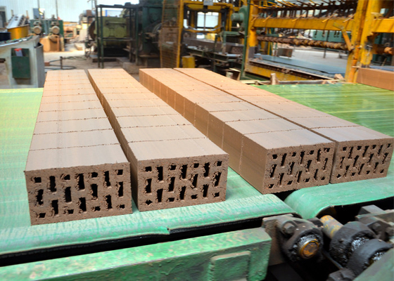 De volledige Automatische Druk ISO9001 van Clay Block Cutter Machine Hydraulic van de Baksteensnijder: 2008