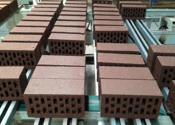 Met elkaar verbindend Clay Red Brick Making Machine met Droger Kamerproject
