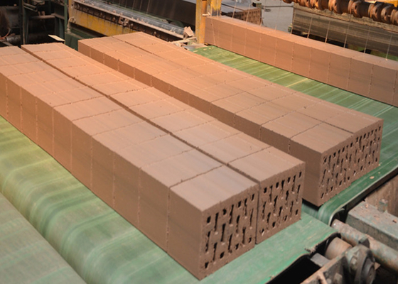 QTQD-1 Model Klei Baksteen Snijmachine met 1254mm Lengte en Max. Snijhoogte 300mm voor Precisie Bakstenen Muur Snijden