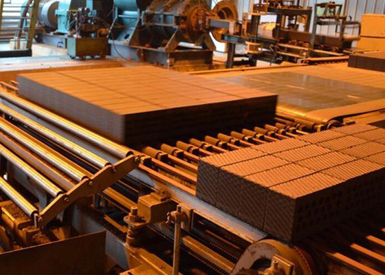 Holle de Baksteen Vormende Machine van vliegash automatic clay brick machine met Droger