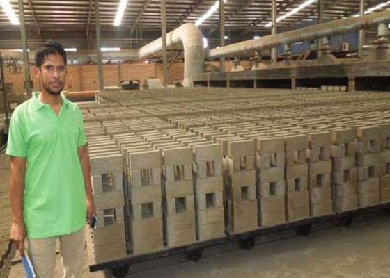 Van het de Kamermateriaal van Clay Brick Dryer Machine Drying van de slijtageweerstand de Drogere Kar