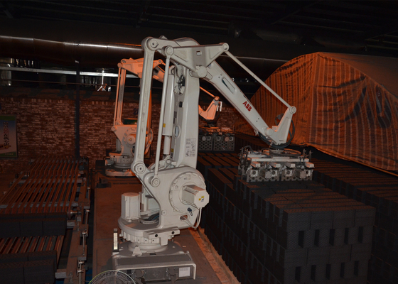 Volledig Automatische Clay Brick Production Line Tunnel-Ovenbaksteen het Plaatsen Machine