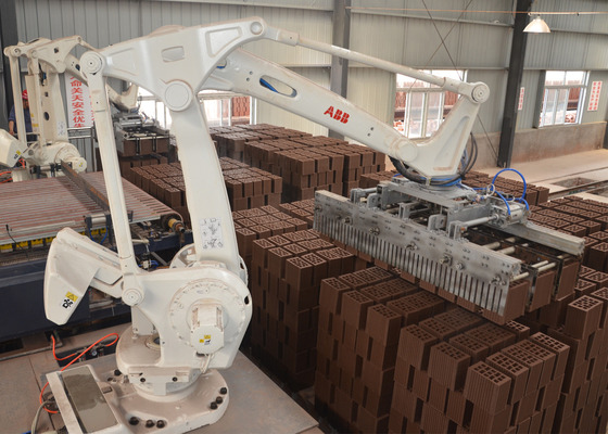 Volledig Automatische Clay Brick Production Line Tunnel-Ovenbaksteen het Plaatsen Machine