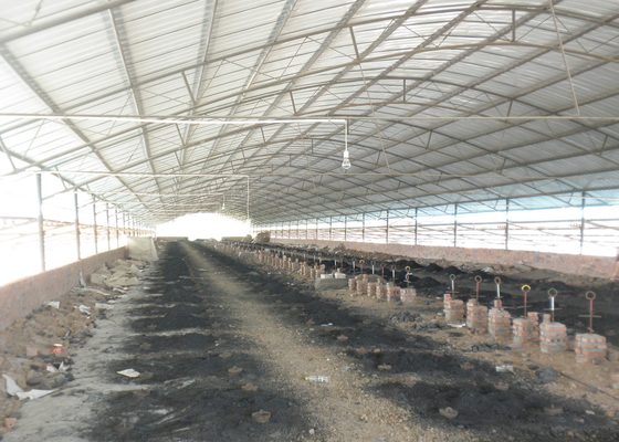 Clay Hollow Brick Machine Production-Lijn voor Hoffman-Oveninstallatie